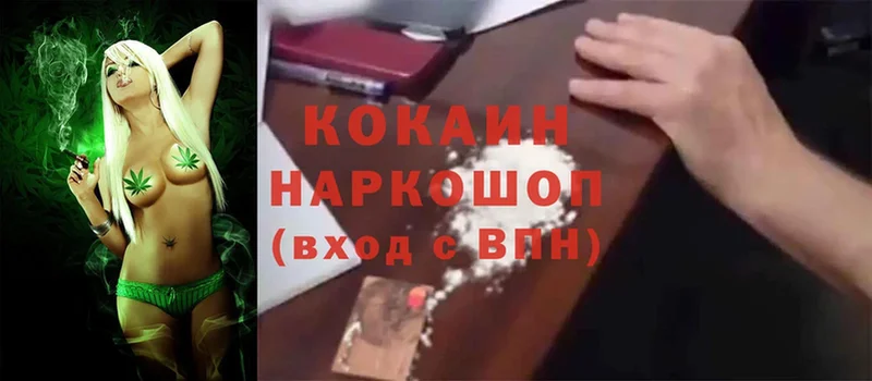 Cocaine 99%  Луга 